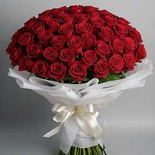 Букет 101 Красная роза Блэк Мэджик в Пестяках