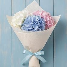 Букет цветов из:  Гортензия #REPLACE_PRED# Пестяках