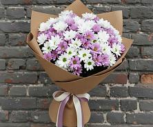 Букет цветов из:  Хризантемы в Пестяках