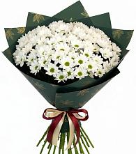 Букет цветов из:  Хризантемы #REPLACE_PRED# Пестяках