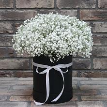 Цветочная композиция из Гипсофила в шляпной коробке #REPLACE_PRED# Пестяках