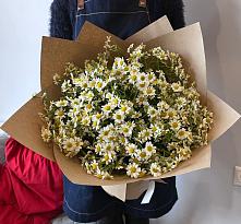 Букет цветов из:  Ромашки #REPLACE_PRED# Пестяках